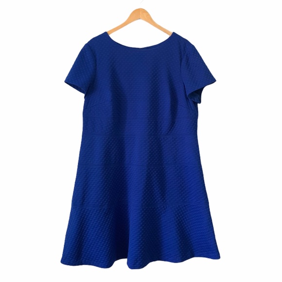 Eliza J Cap sleeve textured scuba dress size 18W